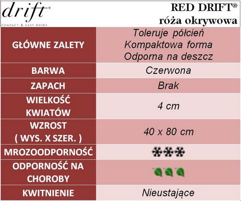 Red Drift róże okrywowe